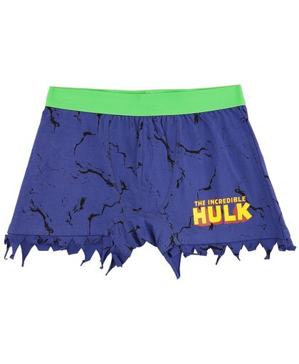 Hulk Logo Boxershort all-over