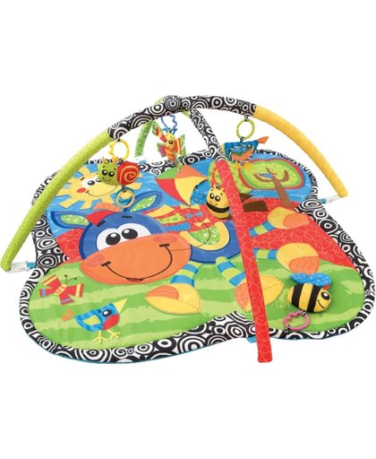Playgro - Speelkleed - Clip Clop - Activity Gym  - Babyspeelmat - Baby Activity Center - Gekleurd speelkleed - Inclusief afgebeelde speeltjes!