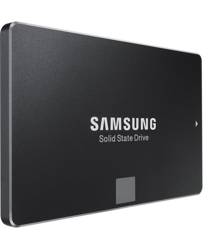 Samsung 850 EVO - Interne SSD - 2 TB