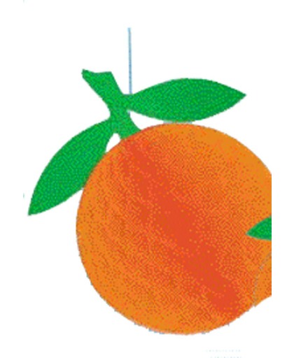 Hangdecoratie Sinaasappel