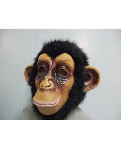 Latex Apen masker Chimpansee