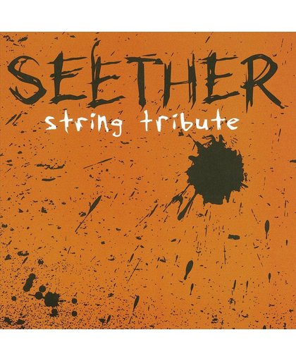 Seether String Tribute