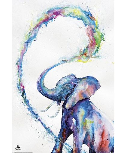Marc Allante Elephant Poster meerkleurig