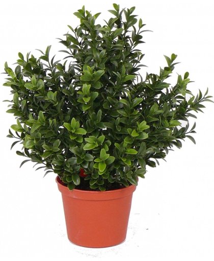 Kunst buxus plant in pot 31 cm - kunstplant