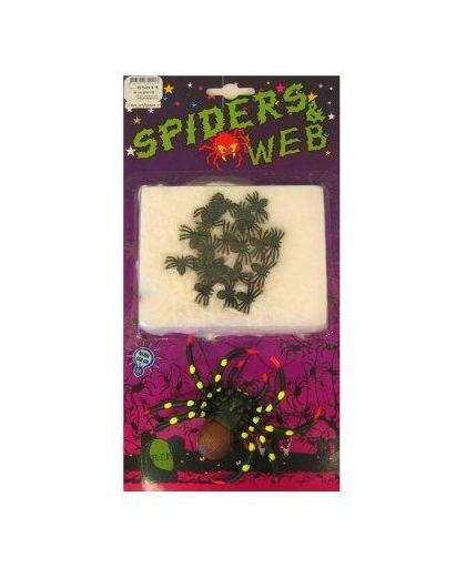 Spin met mini spinnen in web
