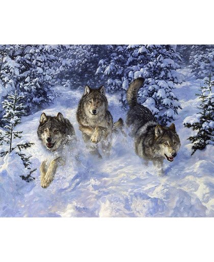 Diamond Painting - Drie Wolven in de Sneeuw - FULL - 40x30cm - SEOS Shop ®