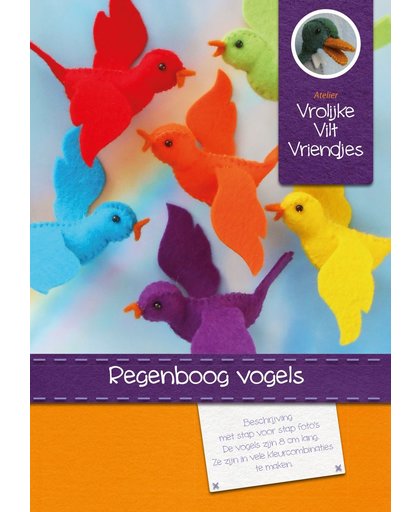 DIY wolvilt pakket: regenboogvogels