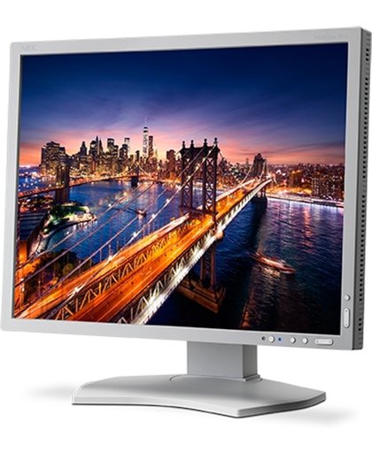 NEC MultiSync P212 21.3" LED Flat Wit computer monitor