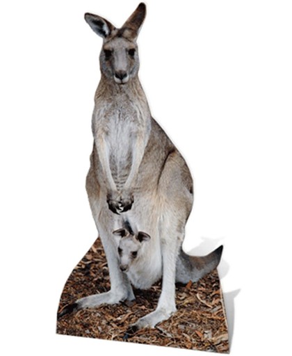 Groot decoratie bord Kangaroe
