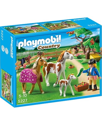 Playmobil Paddock met Paardenfamilie - 5227