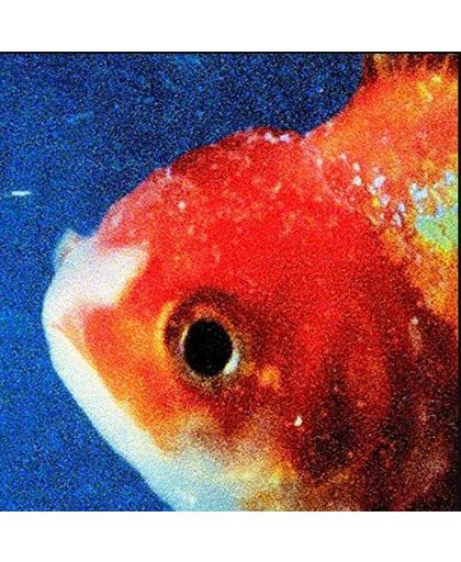 Big Fish Theory (LP)