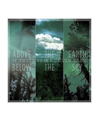 If These Trees Could Talk Above the earth, below the sky CD st.