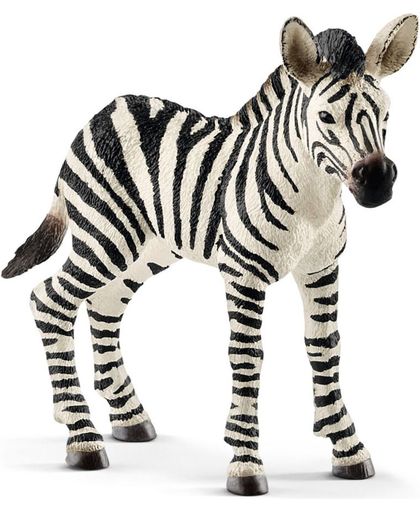 Zebra jong Schleich 14811