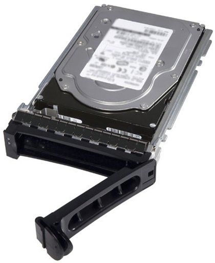 DELL 1TB NL-SAS HDD 1000GB NL-SAS interne harde schijf