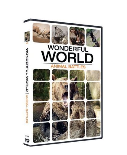 Wonderful World - Animal Battles