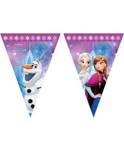 Frozen Disney vlaggenlijn (noorderzon)