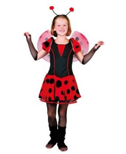 Carnaval kostuum Wilma The Bug, rood lieveheersbeestje, lievevrouwbeestje M104