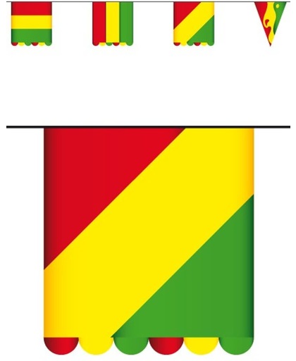 Vlaggenlijn karton rd/gl/gr 3 mtr dubbelz vlag