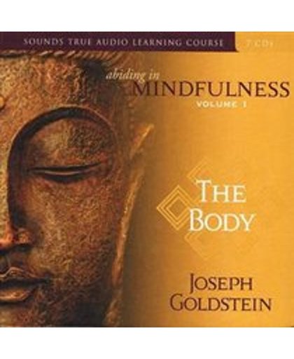Abiding in Mindfulness: Volume 1: The Body