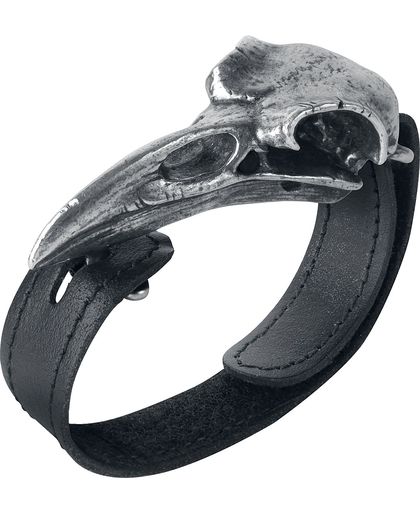 Alchemy Gothic Raven Skull Armband standaard