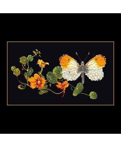 Thea Gouverneur Borduurpakket 437.05 Vlinder Oranjetip  Oostindische Kers vlinder - Aida stof zwart 100% katoen