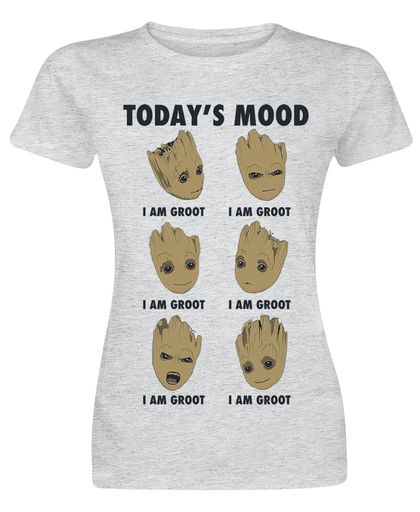 Guardians Of The Galaxy 2 - Groot Today&apos;s Mood Girls shirt lichtgrijs gemêleerd