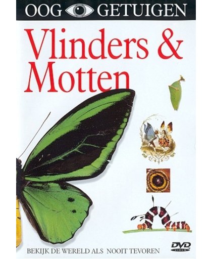 Ooggetuigen - Vlinders & Motten