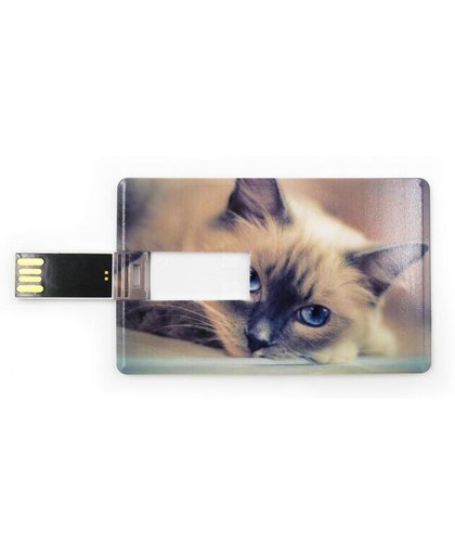 Creditcard USB Stick 32GB. Kat