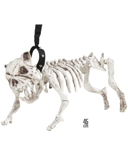 Honden skelet aan riem decoratie - Feestdecoratievoorwerp - One size