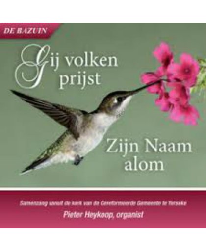 Gij volken prijst Zijn Naam alom// Pieter Heykoop, organist