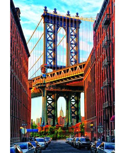 Educa Manhattan brug in New York - 1000 stukjes