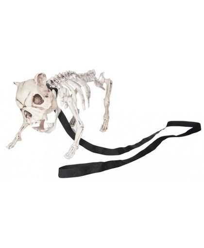 Honden skelet 42 x 20 x H19 cm