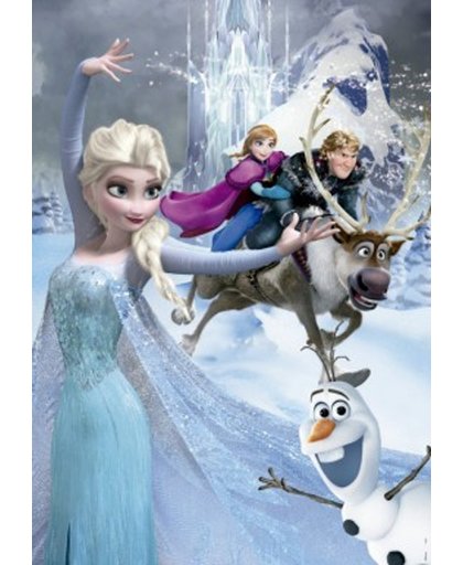 Educa Frozen - Elsa de ijskoningin - 500 stukjes