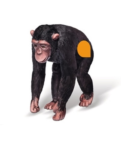 Ravensburger tiptoi Afrika - Chimpansee