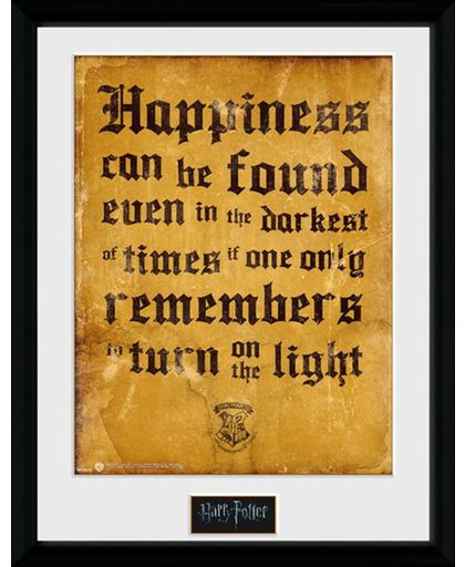Harry Potter Happiness Ingelijste poster meerkleurig