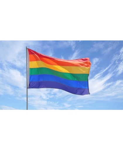 Gay pride regenboog vlag groot