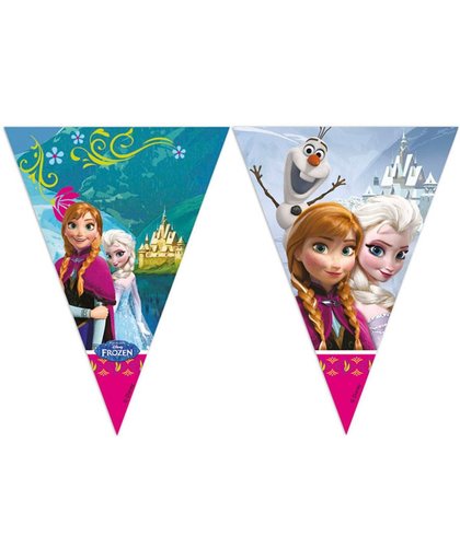 Disney Frozen Vlaggenlijn