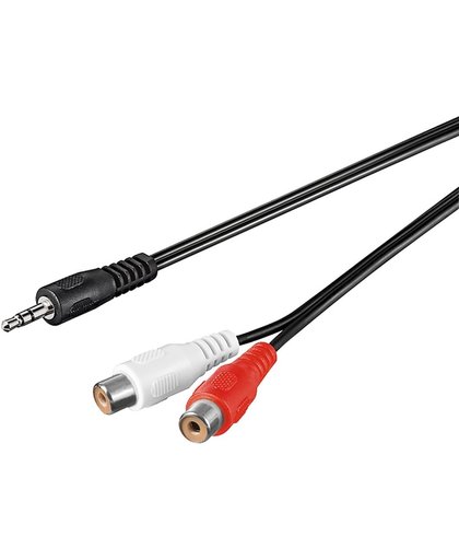 Wentronic 3.5 mm - 2 x RCA, 1.5 m 1.5m 3.5mm 2 x RCA Zwart audio kabel
