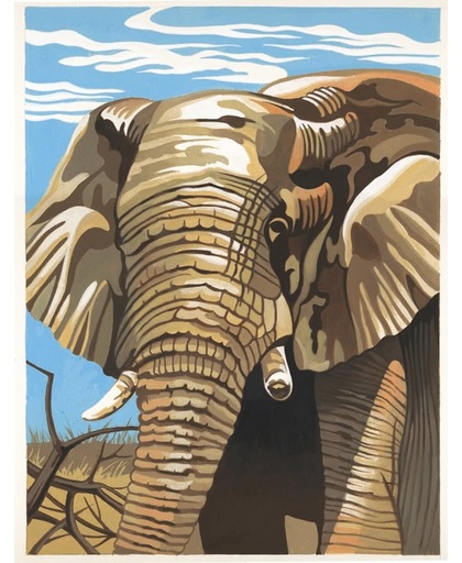 Schilderen op nummer - elephant