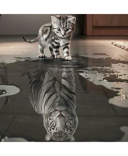 Kitten met tijger spiegelbeeld - Diamond Painting 60x60 (Volledige bedekking - Vierkante steentjes)