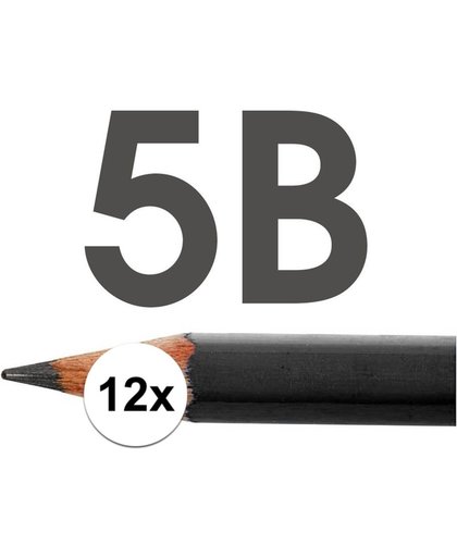 12x HB potloden voor volwassenen hardheid 5B