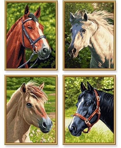 Schipper Schilderen op Nummer - Paarden & Pony