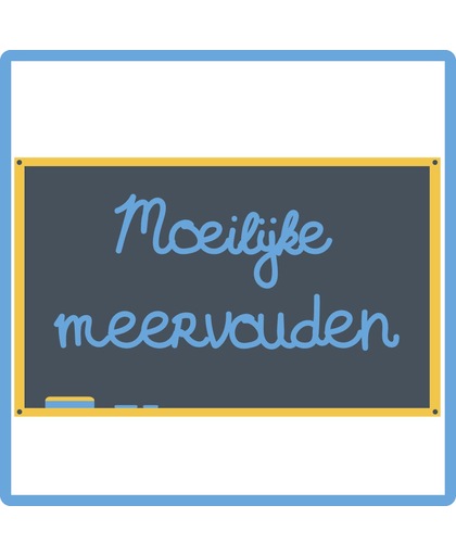 Nederlands - moeilijke meervouden (E-learning cursus)
