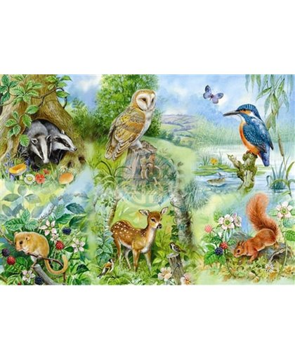 House of Puzzles Meadow Nature Study