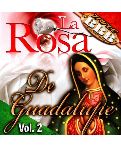 La Rosa del Guadalupe, Vol. 2