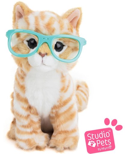 RayBen - Studio Pets pluche Kitten rood