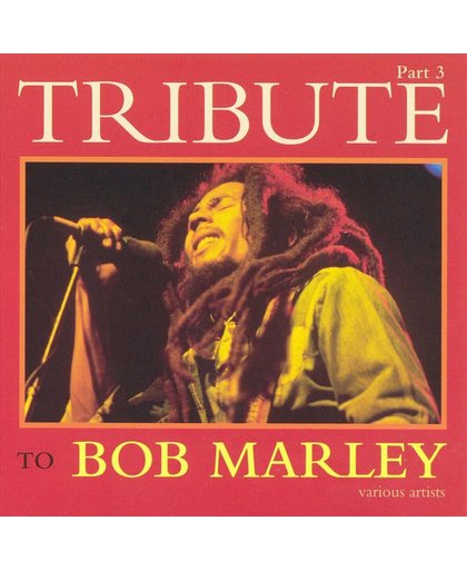 Tribute To Bob Marley Part 3
