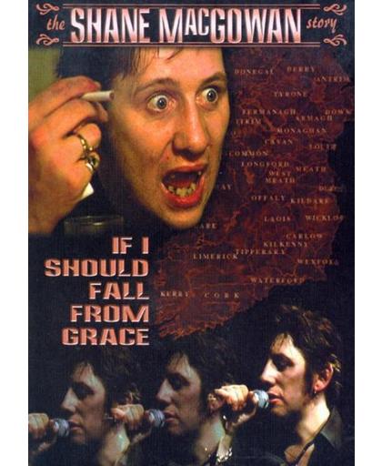 Shane McGowan - If I Should Fall From Grace