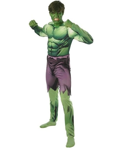 Hulk volwassene kostuum