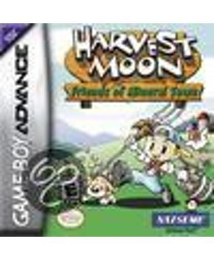 Harvest Moon 2 - Friends of mineral town